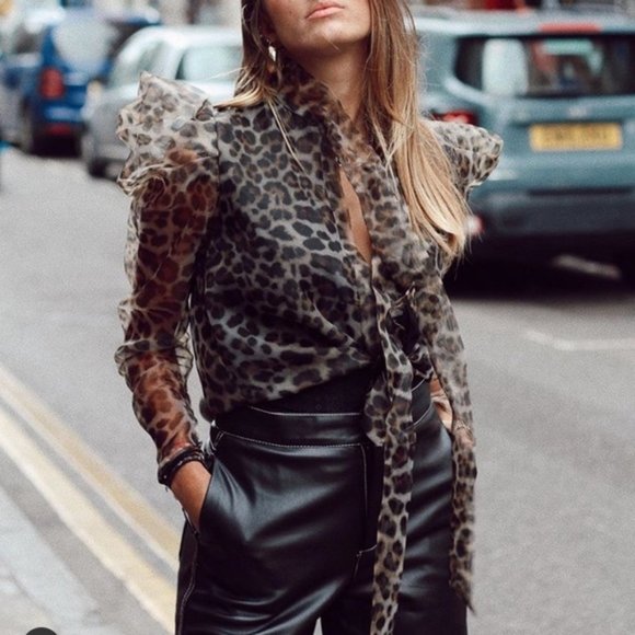 Zara Animal Print Organza Blouse - Picture 4 of 11